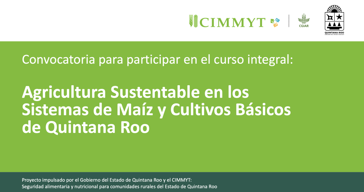 Convocatoria Curso Agricultura Sustentable en los Sistemas de Maíz y Cultivos Básicos de Quintana Roo